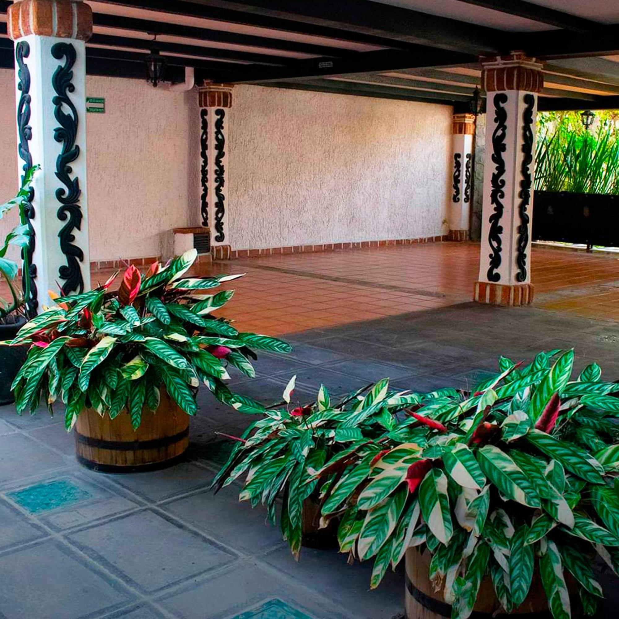 Hotel Boutique La Mansion Guadalajara Zewnętrze zdjęcie
